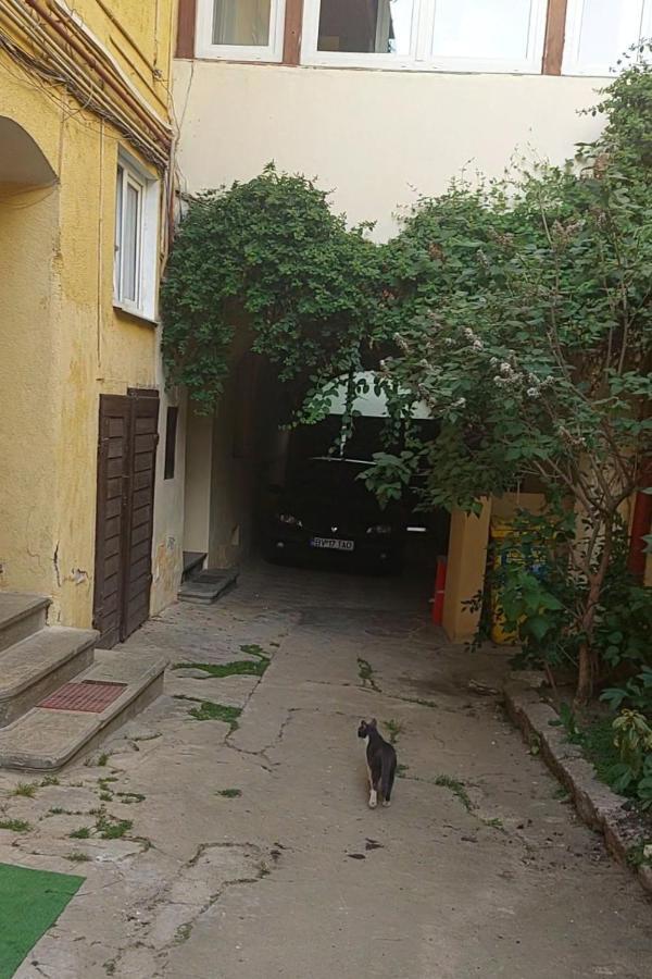 Apartament Diaconu Coresi Apartment Брашов Екстериор снимка